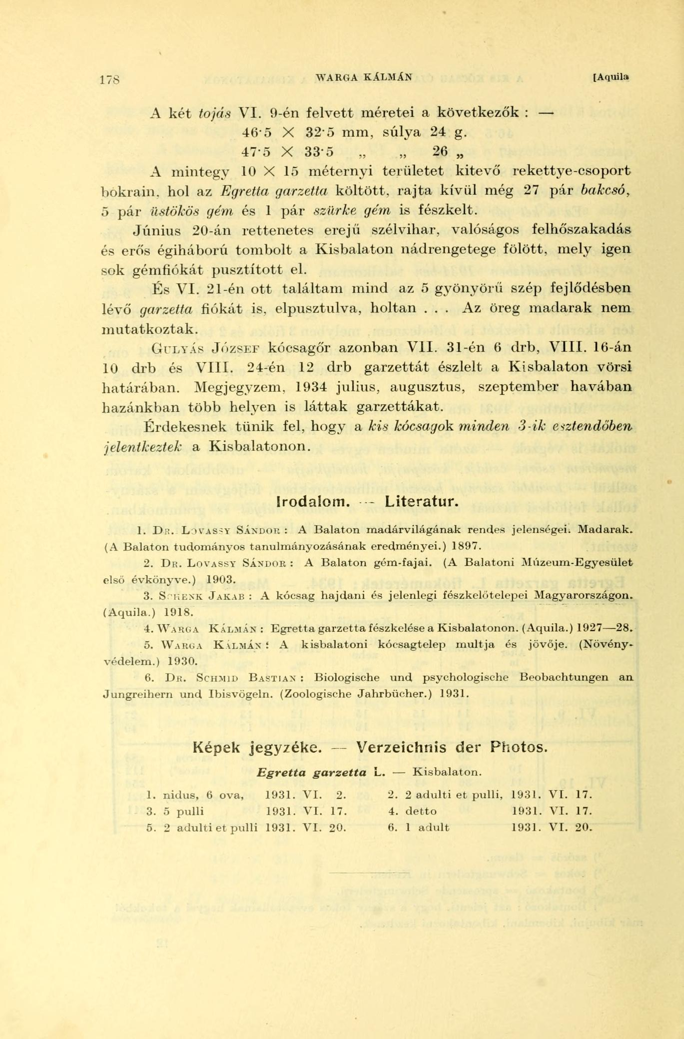 178 WARGA KÁLMÁN [Aquila A két tojás VI. 9-én felvett méretei a következők : 46"5 X 32'5 mm, súlya 24 g.