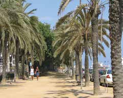 HOTEL ROYAL BEACH ****+ Fekvés: Lloret de Mar központja mindössze 10 perc sétára