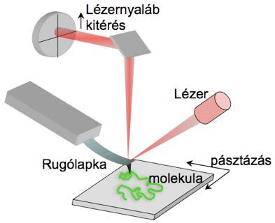 félév) A szonda egy rugalmas, mikroszkópikus méretű laprugóra szerkesztett parányi tű.