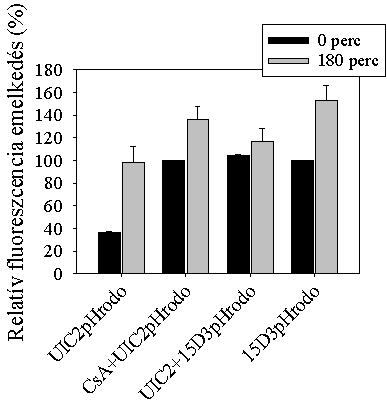 kezdetekor mért fluoreszcenciákat minden minta esetében 0-nak tekintettük. Az ábrán egy reprezentatív minta eredményeit tüntettük fel.