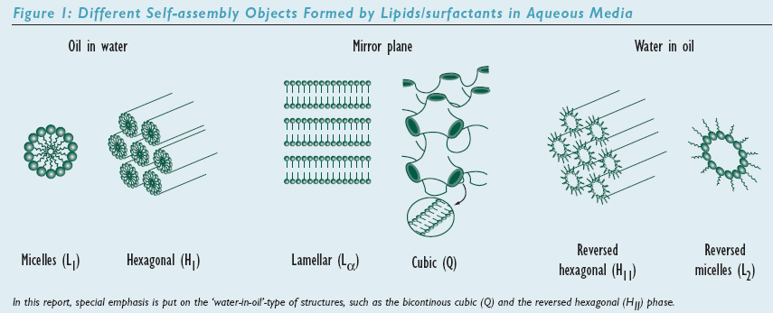 Emulsion, emulsifiers self-assembly of binary amphiphilic fluids into bicontinous