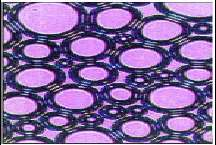 Foam Habképzı szükséges nem stabilak Habszerkezet Spherical bubbles