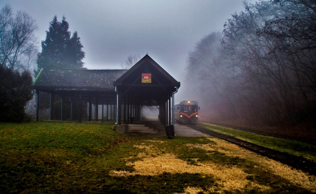 A kisvasúti napon sajnos az idő nem kedvezett a forgalomnak, így hát a motorkocsi várja a hártó-kúti keresztjét a gőzössel.