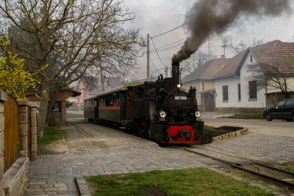 Programajánló Április hónap programajánlója Királyréti Erdei Vasút Április 1-től a hét minden napján lehet kisvonatozni. Hétvégi napokon a délelőtti órákban sűrített menetrend várja a kedves utasokat.