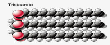 Telített és telítetlen lipid szerkezete