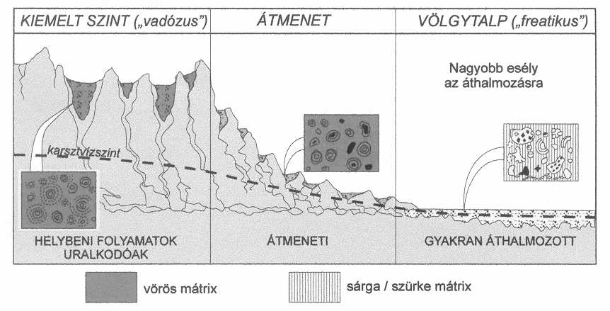 A GÁNT KÖRNYÉKI BAUXIT KÜLFEJTÉSEK FÖLDTANA 191 karsztformáknak a kitöltése akkor bauxitos, ha az anyag, amely oda szállítódott, eleve bauxitos összetételű volt.