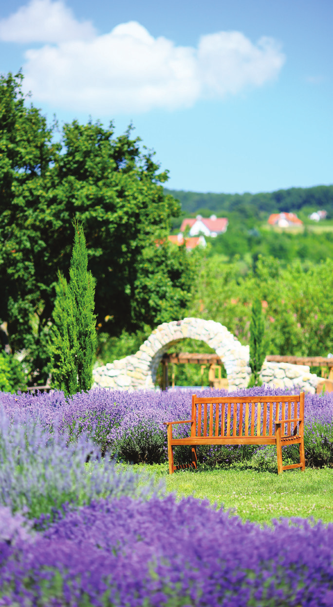 Kempingek a alatonnál EFGÓHEY Z ÖSSZES FRGM ÉVŐ SZÉP KÁRYÁ EFGJUK HÁÓZUK. facebook.com/balatontourist Információ: alatontourist Camping Kft. 8200 Veszprém, Jutasi út 23.