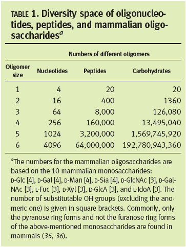 H H H D-Glc H H (2.5 %; - 0.8 %) ligonukleotidok, oligopeptidek és oligoszacharidok sokfélesége A szénhidrátkód H H H D-Gal H H (24.8 %; - 23 %) H H H H D-Man H (18.9 %; - 8.2 %) H H D-Xyl (0.