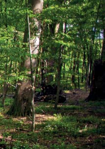 korosztálynak. Esztáz-kői-barlang (Felsőtárkány) Könnyű barlangi kalandtúra a cseppkövekben gazdag és különleges karsztformákat rejtő barlangban.