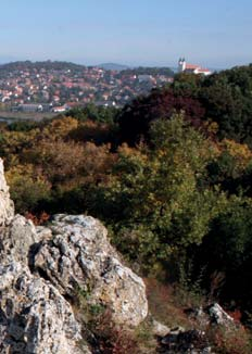 Ennek következménye, hogy a csillagos égbolt látványa eltűnik, gyermekeink úgy nőnek fel, hogy nem ismerik a Tejutat, de még a Fiastyúkot sem.