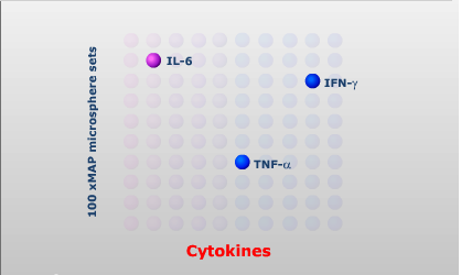 Luminex xmap technológia Citokinek FL3