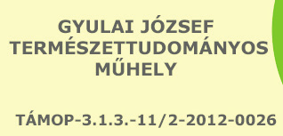 Szakközépiskola, Salgótarján Berzsenyi Dániel Evangélikus Líceum