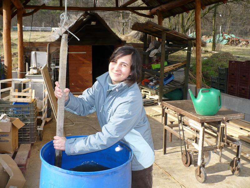 Biodinamikus gazdálkodás Preparátumok alkalmazása: alapanyag: lehetőleg saját gazdaságból homeopátiás szerhez