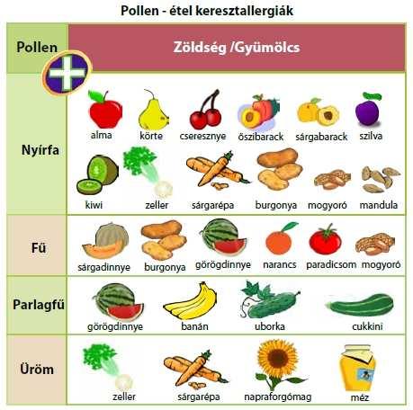 Pollen-étel keresztallergia sajátosságai IgE mediált reakció Allergiás rhinitis mindig van Tünetek pollenszezonban kifejezettek, de Orális reakció (OAS): ajak, nyelv, torok nyálkahártya duzzanat