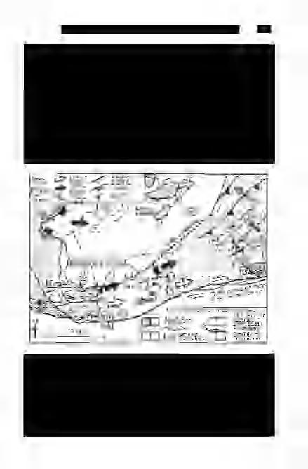 FODOR L. et al: A Dunántúli-középhegységi egység takarás szerkezeti helyzete 537 felé egy nyúlványa" van, amit a Radkersburg-1 fúrás igazol (FLÜGEL 1988).