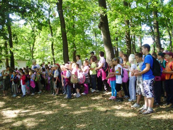 Fák Napja, Erdők Hete, Győrkőcfesztivál, adventi erdei iskolai programok a bevásárlóközpontban).