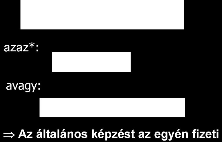 Általános képzés példák Nyelv Számítástechnika Munkagazdaságtan Kerámiabéléses vasbeton födémek méretezése CAD/CAM rendszerrel Általános képzés: költség és hozam Ismét intertemporális döntés, de két