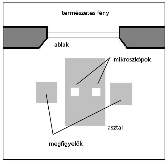 közelebb, úgy, hogy a fény oldalról essen a tárgyasztalra, így a megfigyelés során nem takarja el a vizsgálatot végző személy a fényt a mikroszkóp elől (4. ábra). 4.