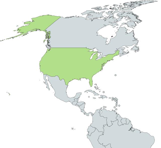 KI(K)RE VONATKOZNAK AZ USA