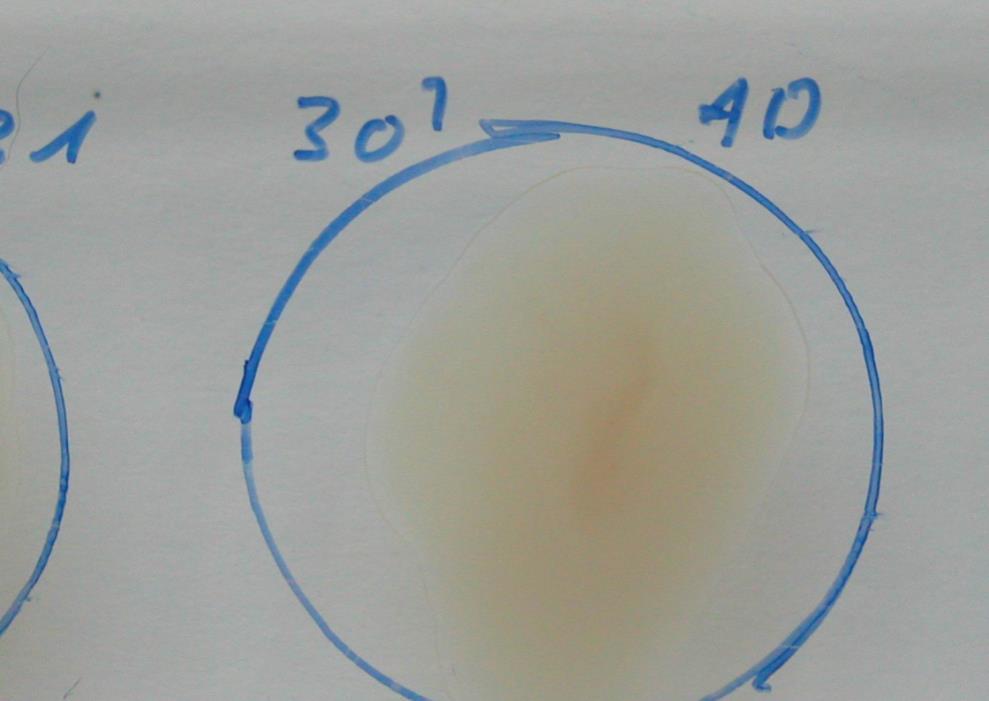 Auxiliary methods of bacterial identification 5, Examination of pathogenicity factors The pathogenicity