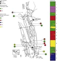 speciation in