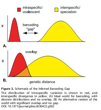 Frontiers in Zoology, 2007 Hibás pozitív Genetikai