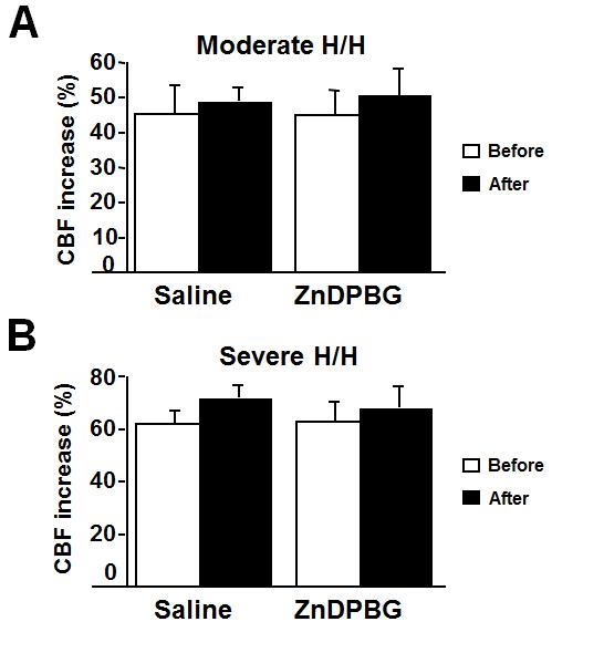 3. ábra. Artériás vérgáz tenziók enyhe és középsúlyos H/H alatt, sóoldat (saline) (háromszög, n=8) vagy 45 μmol/kg zinc deuteroporphyrin 2,4-bis glycol (ZnDPBG; kör, n=8) ip.