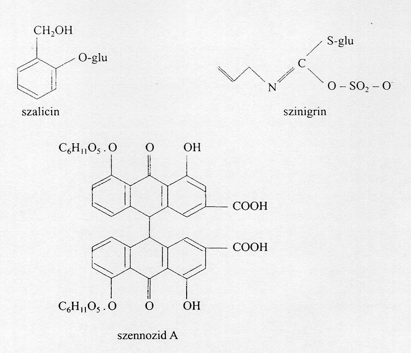kéntartalmú glikozidok mustár, glikozidok II.