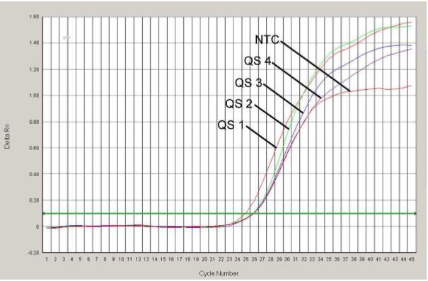 23. ábra: Belső kontroll (IC) detektálása VIC fluoreszcens jel mérésével (ABI PRISM 7000 SDS) és a