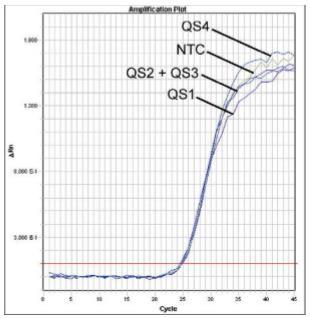 25. ábra: Belső kontroll (IC) detektálása VIC fluoreszcens jel mérésével (ABI PRISM 7700 SDS) és a