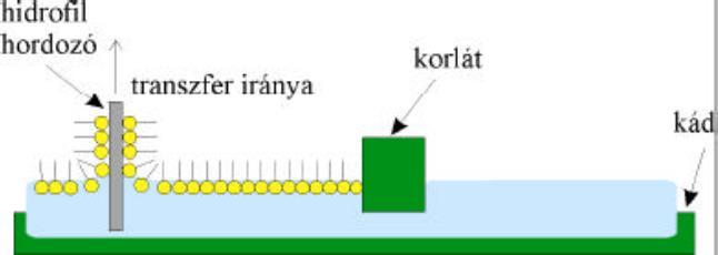 monorétegekből építhetők fel.