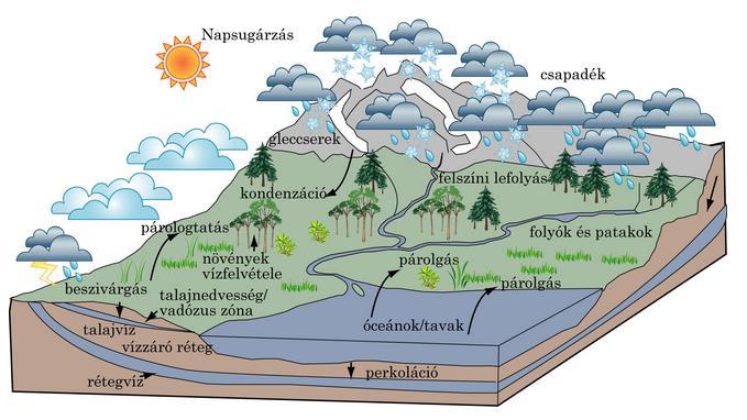 A hidrológiai ciklus - -> a víz állandó mozgásban van az egyes