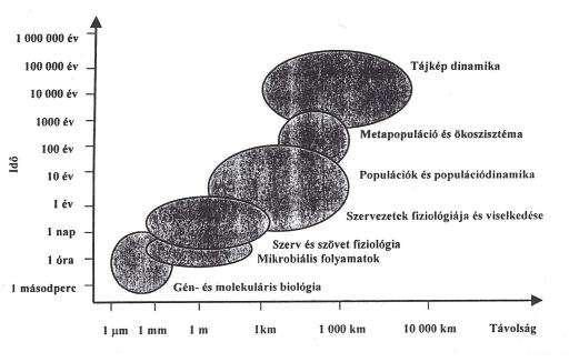 Ökológiai folyamatok tér-idő