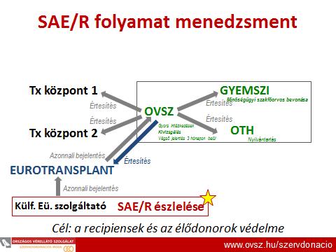 7. Magyar szolgáltató által történő bejelentés folyamatábrája SAE/R folyamat menedzsment Tx központ 1 Tx központ 2 EUROTRANSPLANT Eü.