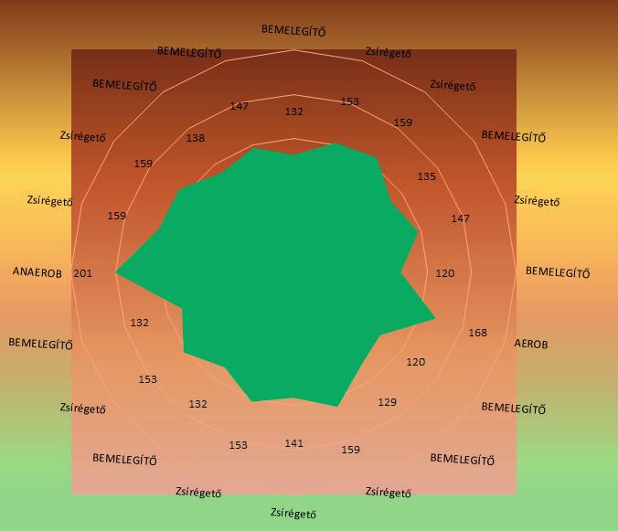48 Révész László, Ekler Judit, Fügedi Balázs, Bíró Melinda, Karsai István, Polgár Tibor 5. ábra: 3. mért óra (röplabda tematikus egység) 5. chart: 3.