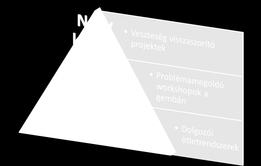 Gergely Judit Lean TPM