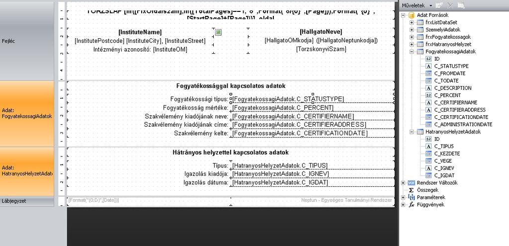 9.5.8. Törzslap8 Fogyatékossággal, hátrányos helyzettel kapcsolatos adatok nyilvántartására szolgál.