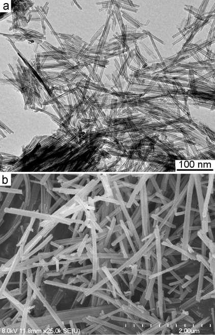 TEM nanotube outer diameter: 7 10 nm inner chanel: 5nm SEM