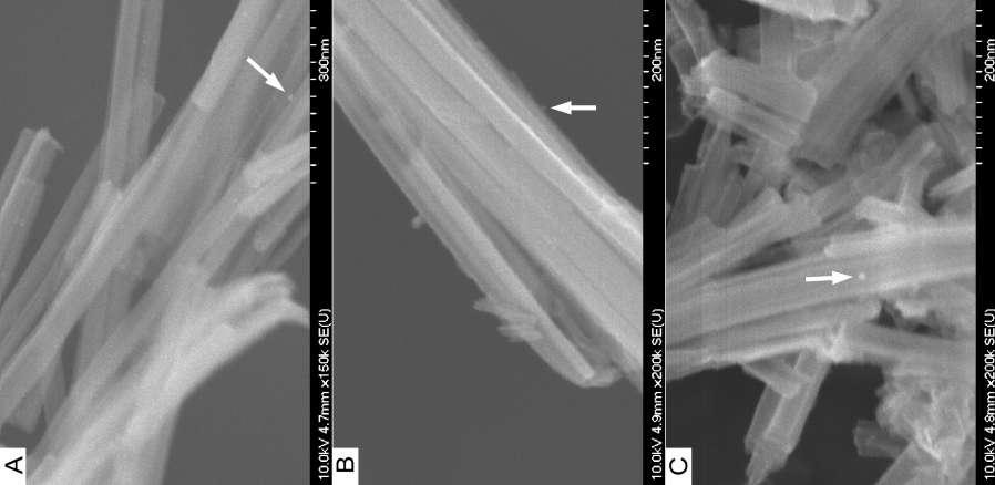 SEM images of titanate nanowires 1 % Au 1 % Rh 0. 5 % Au + 0.