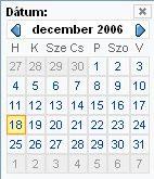 billentyűzetről is az adatokat, de a kis táblázatra kattintva a naptáron is beállíthatjuk a dátumot. A használandó dátumformátum például: 2007.01.01. Dátum felület. A dátum mezőhöz tartozó felület.