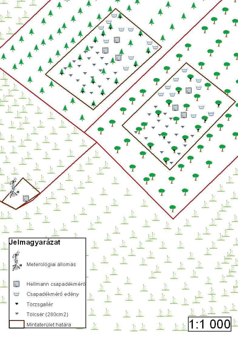 Intercepciós vizsgálatok homokhátsági erdőállományokban 165 1. ábra Az intercepciós mérőeszközök mintaterületenkénti elhelyezkedése. Figure 1.