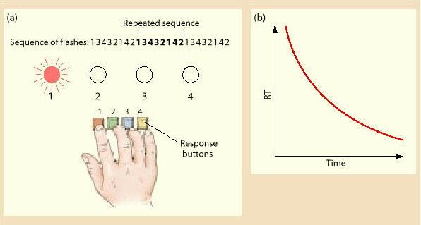 implicit