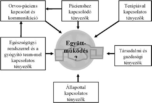 Ez a megfogalmazás jelzi, hogy az együttműködést mindig valamilyen specifikus helyzetre vonatkoztatva lehet mérni, illetve hogy igen magas az együttműködés hiányának aránya, amely, ha figyelembe