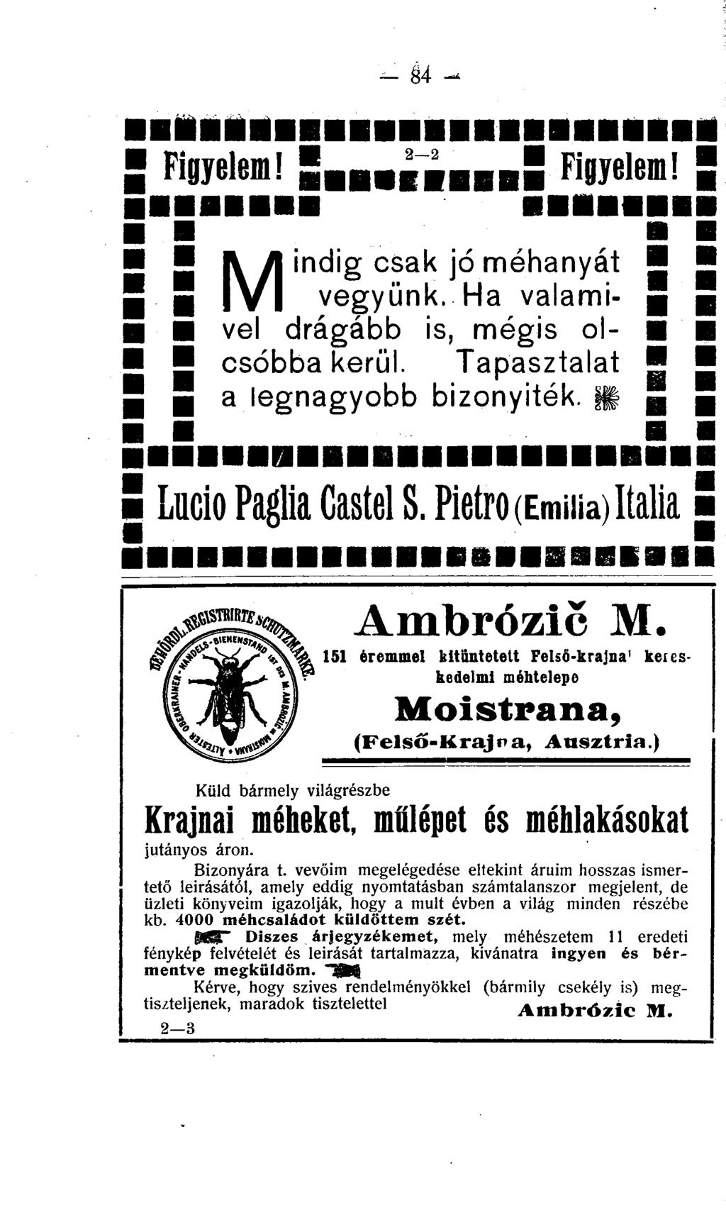 - u - Figyelem! SiiiiimS Figyelem! Mindig csak jó méhanyát vegyünk. Ha valamivel drágább is, mégis olcsóbba kerül. Tapasztalat a legnagyobb bizonyíték. H Lucio Paglia Castel S.