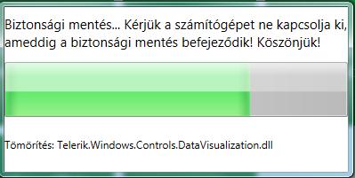 Indítsa el a funkciót a Profil (Beállítások) menü panelen Biztonsági másolat készítése gombon történő kattintással.