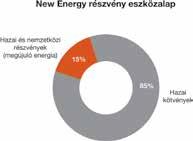 eszközalap kapcsán felmerülő kockázatok: A New Energy részvény eszközalap kapcsán felmerülő kockázatok: Koncentrációs kockázat Árukockázat 1 Likviditási kockázat Devizaárfolyam-kockázat 5 Működési