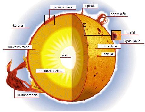 1. Ábra: A Nap szerkezeti képe A fotoszféra a konvektív zóna felett helyezkedik el és a Nap azon része, amelyet mi is látunk, mert innen származik a sugárzás 99%-a.