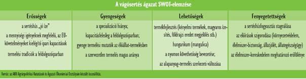 Az ágazat versenyképessége javításának alapvetı feladatai A hatékonyság és megfelelıség javítása a tenyésztés és hizlalás modernizálásának (genetikai alapok, technológiai rendszerek, tartási