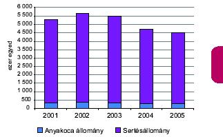 A sertésállomány alakulása 2001-2005 Az állatállomány 2002 december elején ötmillió db körüli volt. 2004 augusztusában már csak 4,3 millió darab, december elején pedig 4,2 millió db.