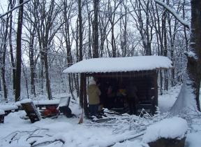 Mivel 2014 novemberében itt is nagy mennyiségő ónos esı esett, a jégkár jelentıs: egész fák gyökerestıl fordultak ki, a lobkorona néhol teljesen letört.